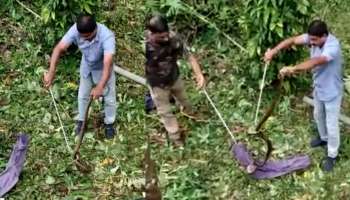 Viral Video: കിണറ്റിൽ നിന്ന് ഏഴടിയോളം നീളമുള്ള മൂർഖൻ പാമ്പിനെ പിടികൂടി- വീഡിയോ