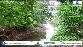 Ranni Kuttivanam Forest