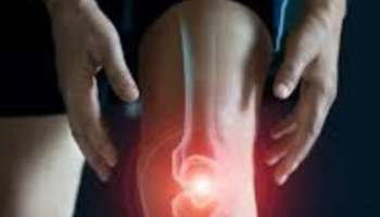 World Arthritis Day 2022: ആർത്രൈറ്റിസ് സാധ്യത കുറയ്ക്കാം; ഇക്കാര്യങ്ങൾ ശ്രദ്ധിക്കൂ