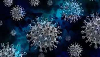 Corona Virus Update: ലോകം വീണ്ടും കൊറോണ ഭീതിയിലേയ്ക്ക്, ചൈനയില്‍ കണ്ടെത്തിയ പുതിയ വകഭേദങ്ങള്‍ കൂടുതല്‍ മാരകം  