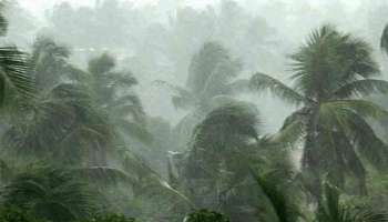 Kerala Weather Report: സംസ്ഥാനത്ത് വ്യാപക മഴയ്ക്ക് സാധ്യത; 10 ജില്ലകളിൽ യെല്ലോ അലർട്ട്!