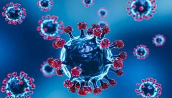 New Omicron Variant BQ.1: രാജ്യത്ത് പുതിയ ഒമിക്രോൺ വകഭേദം റിപ്പോർട്ട് ചെയ്തു; ബിക്യു.1 അപകടകാരിയോ? കരുതിയിരിക്കണമെന്ന് ആരോ​ഗ്യവിദ​ഗ്ധർ