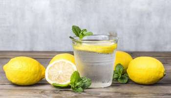 Lemon Water Benefits: ഭക്ഷണത്തിന് ശേഷം അല്പം നാരങ്ങ വെള്ളം കുടിയ്ക്കാം, അമ്പരപ്പിക്കുന്ന ഗുണങ്ങള്‍  