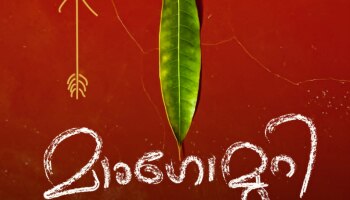 ജാഫർ ഇടുക്കി പ്രധാന കഥാപാത്രമാകുന്ന &quot;മാംഗോ മുറി&quot;; നവംബർ ഒന്നിന് തിരുവനന്തപുരത്ത് തുടങ്ങും