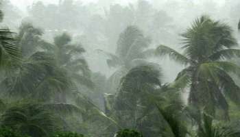 Kerala Weather Report: തുലാവർഷം നാളെയോടെ കേരളാ തീരം തൊട്ടേക്കും; 5 ജില്ലകളിൽ യെല്ലോ അലർട്ട്!