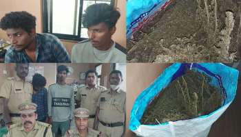 Cannabis seized: തിരുവനന്തപുരം അമരവിളയിൽ വൻ കഞ്ചാവ് വേട്ട; 10 കിലോ കഞ്ചാവുമായി രണ്ട് പേർ പിടിയിൽ