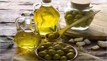 Olive Oil Benefits: കൊളസ്‌ട്രോൾ കുറയ്ക്കും ഒലിവ് ഓയില്‍, ഏറെയുണ്ട് ഈ വിദേശി എണ്ണയ്ക്ക് ഗുണങ്ങള്‍... !! 