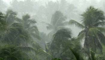 Rain alert: സംസ്ഥാനത്ത് വ്യാപക മഴയ്ക്ക് സാധ്യത; ഒമ്പത് ജില്ലകളിൽ യെല്ലോ അലർട്ട്