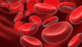 Anemia: &#039;വിളർച്ചയിൽ നിന്നും വളർച്ചയിലേക്ക്&#039;; അനീമിയ മുക്ത കേരളത്തിനായി സമ​ഗ്ര പരിപാടിയുമായി ആരോ​ഗ്യവകുപ്പ്