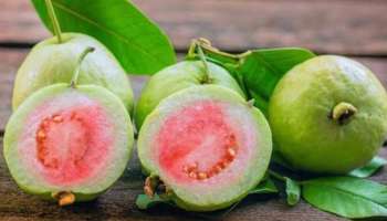 Guava: ദഹന പ്രശ്നങ്ങൾ പരിഹരിക്കുന്നത് മുതൽ കാൻസ‍ർ പ്രതിരോധം വരെ; നിരവധിയാണ് പേരക്കയുടെ ​ഗുണങ്ങൾ