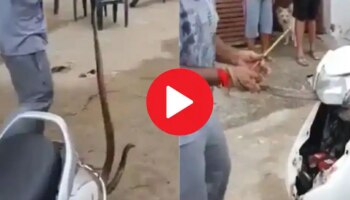 Viral Video: ഉറങ്ങാൻ പാമ്പ് കണ്ടെത്തിയ സ്ഥലം കണ്ടോ? പിന്നെ സംഭവിച്ചത്..!! വീഡിയോ വൈറൽ