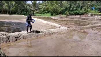 മാഞ്ഞുപോയ ഇടുക്കിയുടെ &#039;പൊൻകതിര്&#039; തിരിച്ചുപിടിക്കാൻ സഹോദരന്മാർ