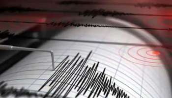 Earthquake Punjab: പഞ്ചാബിലും ഭൂചലനം, റിക്ടർ സ്കെയിലിൽ 4.1 തീവ്രത 