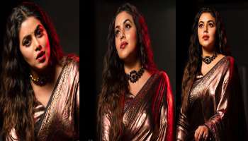 Shamna Kasim: സിൽക്ക് സാരിയിൽ പൊളി ലുക്കിൽ ഷംന കാസിം 