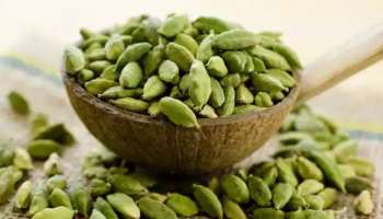 Cardamom Health Benefits: ഏലക്കയുടെ ഈ അഞ്ച് ആരോ​ഗ്യ ​ഗുണങ്ങൾ അറിയാം