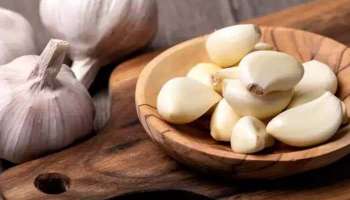 Garlic Benefits: എന്തുകൊണ്ട് പുരുഷന്മാർ വറുത്ത വെളുത്തുള്ളി കഴിയ്ക്കണം? ആരോഗ്യഗുണങ്ങള്‍ അറിയാം