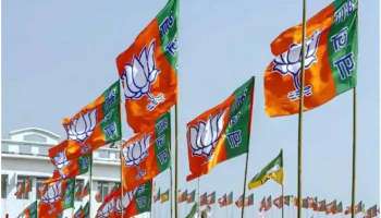 Gujarat Polls 2022: വിമതരെ കൈകാര്യം ചെയ്ത് BJP, സ്വതന്ത്രരായി മത്സരിച്ച 12 പേരെ പാർട്ടിയിൽ നിന്ന് പുറത്താക്കി 
