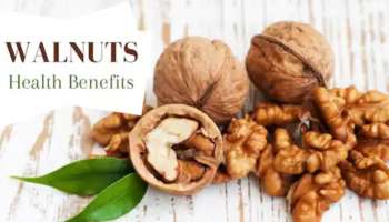Walnuts Health Benefits: ദിവസവും വാൾനട്ട് കഴിച്ചാൽ നിരവധി ​ഗുണങ്ങൾ; അറിയാം വാൾനട്ടിന്റെ ആരോ​ഗ്യ ​ഗുണങ്ങൾ