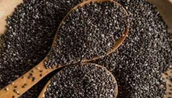 Chia Seeds Side Effects: ചിയ വിത്തുകൾ അമിതമായി കഴിക്കുന്നത് ദോഷം ചെയ്യും; ഇവയാണ് പാർശ്വഫലങ്ങൾ