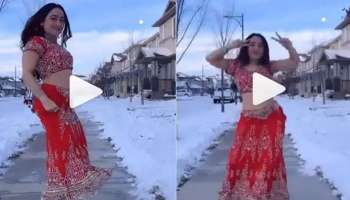 Viral Video : മഞ്ഞിനിടയിൽ നിന്ന് ബോളിവുഡ് ഗാനത്തിന് ചുവടുകൾ വെച്ച്  സുന്ദരി; വീഡിയോ വൈറൽ