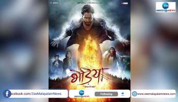 BHEDIYA Movie REVIEW