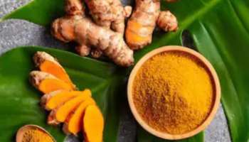 Side Effects Of Turmeric: മഞ്ഞൾ ആരോ​ഗ്യ ​ഗുണങ്ങളാൽ സമ്പന്നമായ അത്ഭുത സസ്യമാണ്, എന്നാൽ അധികമായി ഉപയോ​ഗിച്ചാൽ എന്ത് സംഭവിക്കും?