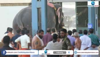 Angry Elephant in Guruvayur Video