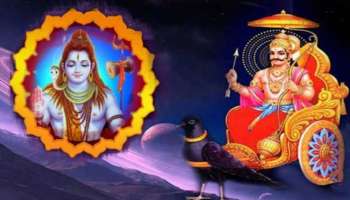 Lord Shiva Worship: പ്രണയസാഫല്യം നേടാന്‍ ശിവഭ​ഗവാനെ ശിവപാര്‍വ്വതി രൂപത്തില്‍ ഭജിക്കണം; ശനിദോഷമകറ്റാൻ പ്രാർഥിക്കേണ്ടത് ഈ ദിവസങ്ങളിൽ