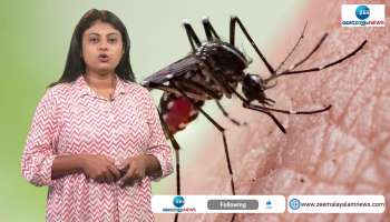 Karnataka First Zika Virus