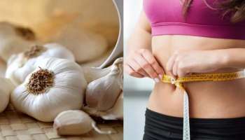 Garlic Benefits: പുരുഷന്മാർ വെളുത്തുള്ളി കഴിയ്ക്കണം, ആരോഗ്യഗുണങ്ങള്‍ അറിയാം