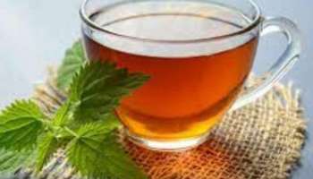 Assam tea: ഈ അസം തേയിലയുടെ വില കിലോയ്ക്ക് 1.15 ലക്ഷം; വിലയേക്കാൾ നിങ്ങളെ അമ്പരപ്പിക്കും വില വർധിക്കാനുള്ള കാരണം
