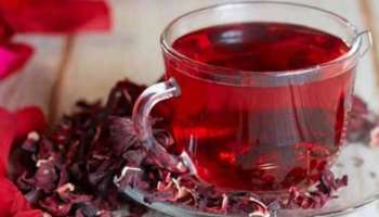 Hibiscus Tea: ചെമ്പരത്തി ചായ കുടിക്കാം; നിരവധിയാണ് ​ഗുണങ്ങൾ