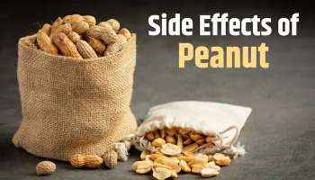 Peanut Side Effects: നിലക്കടല അധികം കഴിച്ചാല്‍ ആപത്ത്, വിപരീതഫലം ഉറപ്പ് 