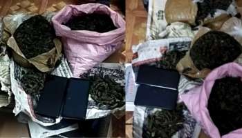 Crime: ആറ്റിങ്ങലിൽ കൊറിയർ സർവീസിന്റെ മറവിൽ കഞ്ചാവ് കടത്ത്; യുവാവ് പിടിയിൽ