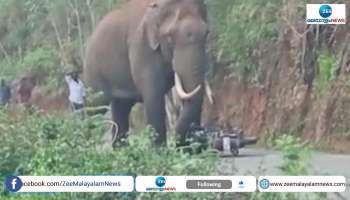 Wild elephant attack on Munnar Silent Valley road