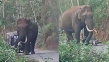 Wild Elephant: മൂന്നാർ - സൈലന്റ് വാലി റോഡിൽ പടയപ്പയുടെ പരാക്രമം; ബൈക്ക് കുത്തി മറിച്ചിട്ടു