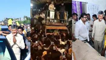 Andhra Pradesh stampede: ആന്ധ്രയില്‍ ടിഡിപി റാലിക്കിടെ തിക്കിലും തിരക്കിലും പെട്ട് എട്ട് മരണം; ധനസഹായം പ്രഖ്യാപിച്ച് പ്രധാനമന്ത്രി
