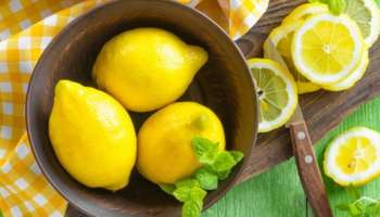 Lemon Health Benefits: നാരങ്ങ ഭക്ഷണത്തിൽ ഉൾപ്പെടുത്തേണ്ടതിന്റെ ആവശ്യകത എന്താണ്? നാരങ്ങയുടെ ​ഗുണങ്ങൾ അറിയാം