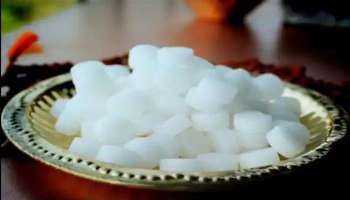 Camphor Benefits: പിതൃദോഷം ഇല്ലാതാക്കും, കര്‍പ്പൂരത്തിനുണ്ട് നാമറിയാത്ത അനവധി ഗുണങ്ങള്‍ 