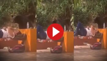 Viral Video: പാർക്കിൽ ഉറങ്ങിക്കിടന്ന പെൺകുട്ടിയുടെ അടുത്തെത്തി കരടി, പിന്നെ സംഭവിച്ചത്..! വീഡിയോ വൈറൽ 