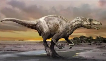 Dinosaurs fossil: വീണ്ടും ദിനോസറുകളെ കണ്ടെത്തി ഗവേഷകർ..!  മുമ്പ് തിരിച്ചറിഞ്ഞിട്ടില്ലാത്ത 4 ഇനം ദിനോസറുകളുടെ വിവരങ്ങൾ ഇതാ...