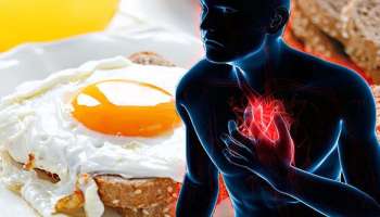 Eggs and Heart Disease: ദിവസവും മുട്ട കഴിക്കുന്നത് ഹൃദയാഘാതത്തിന് കാരണമാകുമോ? ഞെട്ടിപ്പിക്കുന്ന വിവരങ്ങള്‍ പുറത്ത്  