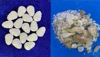 MDMA Seized: പാലക്കാട് വൻ മയക്കുമരുന്ന് വേട്ട: എംഡിഎംഎയുമായി യുവാവ് പിടിയിൽ  