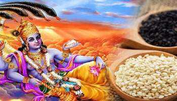 Shattila Ekadashi 2023: ഷഡ് തില ഏകാദശിയില്‍ എള്ള് ദാനം ചെയ്യുന്നത് പുണ്യം നല്‍കും, പ്രാധാന്യം അറിയാം  