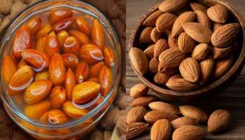 Soaked Dry Fruits Benefits: ഉണങ്ങിയ പഴങ്ങൾ കുതിർത്ത് വെറുംവയറ്റിൽ കഴിക്കാം... നിരവധിയാണ് ​ഗുണങ്ങൾ