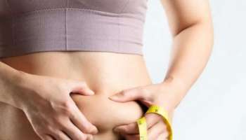 Lose belly fat: ശരീരഭാരം കുറയ്ക്കാൻ ശ്രമിക്കുന്നവർ ഈ ഭക്ഷണങ്ങൾ ഒഴിവാക്കണം