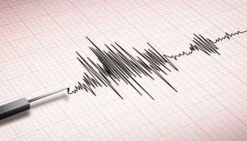 Uttarakhand earthquake: ഉത്തരാഖണ്ഡിലെ പിത്തോരഗഢിൽ ഭൂചലനം; റിക്ടർ സ്കെയിലിൽ 3.8 തീവ്രത രേഖപ്പെടുത്തി