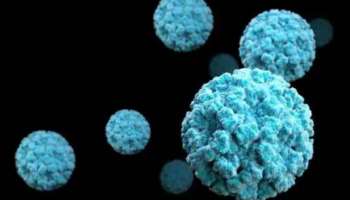 Norovirus: എറണാകുളത്ത് നോറോ വൈറസ് ബാധ; 19 വിദ്യാർഥികൾക്ക് രോഗം സ്ഥിരീകരിച്ചു, വീണ്ടും ഓൺലൈൻ ക്ലാസ്