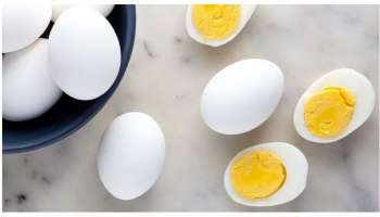 Egg Side Effects: ഇത്തരം ആരോഗ്യപ്രശ്നങ്ങളുള്ളവർ അറിയാതെ പോലും മുട്ട കഴിയ്ക്കരുത്