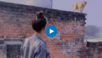 Viral Video: കുരങ്ങനോട് കളിക്കാൻ ചെന്ന പെൺകുട്ടിക്ക് കിട്ടി മുട്ടൻ പണി..! വീഡിയോ വൈറൽ